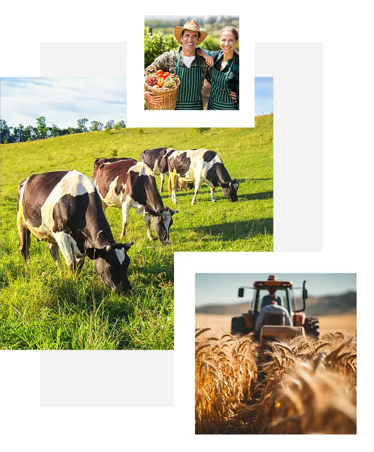 agricole image Sviluppo Aziende Agricole Esistenti