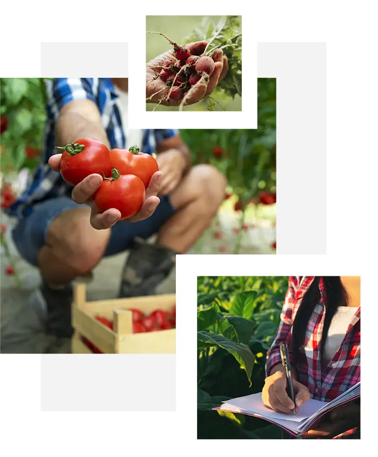 biologica image Consulenza per Agricoltura Biologica