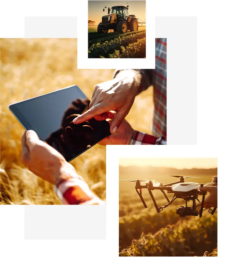 consulenza-az-agricole1 image Consulenza Redazione Business Plan per l’accesso al credito delle aziende agricole.